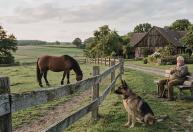 O que significa o famoso provérbio alemão: 'Uma cerca dura 3 anos, um cachorro dura 3 cercas, um cavalo dura 3 cachorros e um homem dura 3 cavalos?'