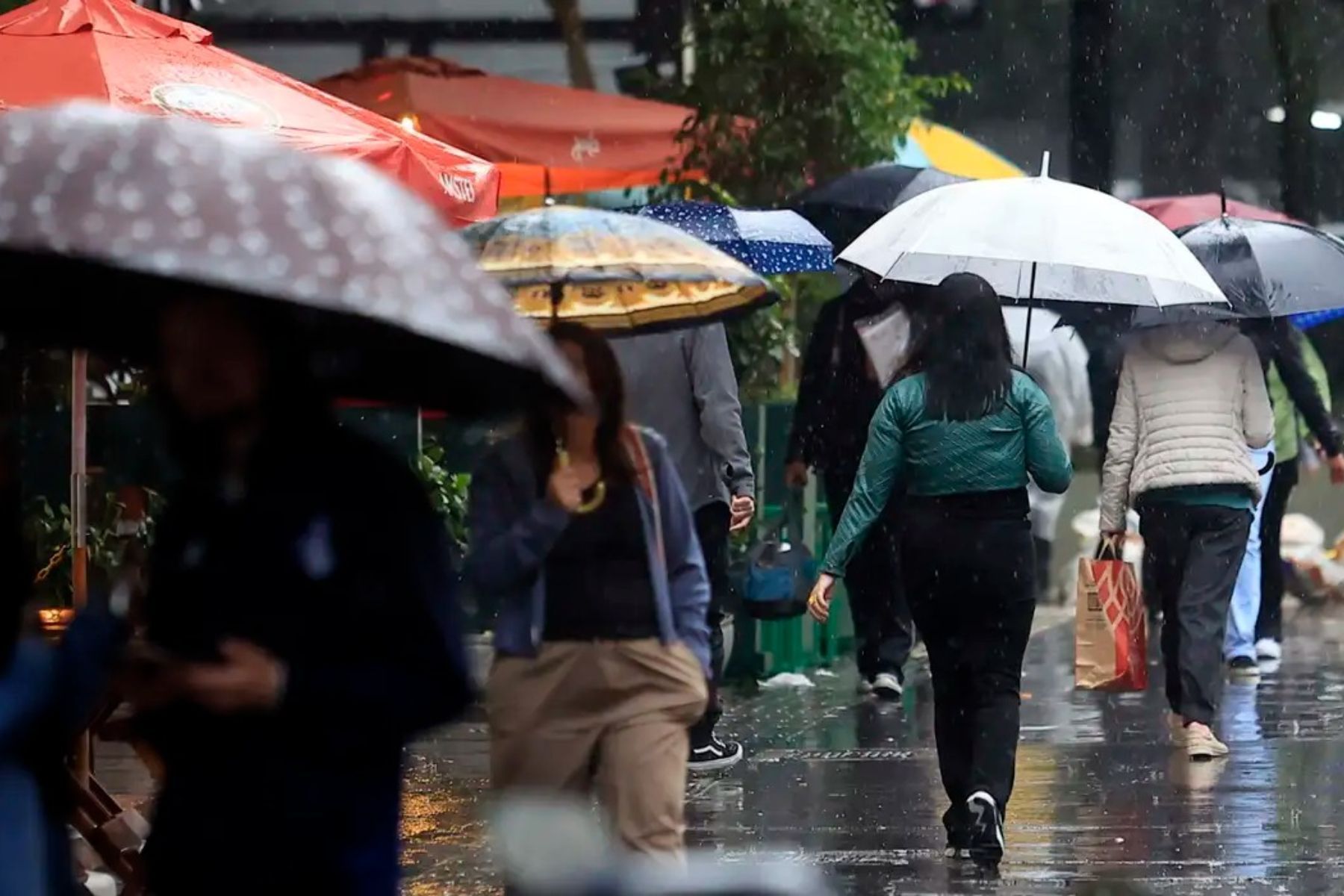 Eleições 2026: Amazonas tem alerta de tempestade e granizo para domingo de votação; lista