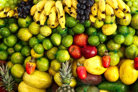 Frutas variadas em destaque, representando a produção agrícola de frutas.