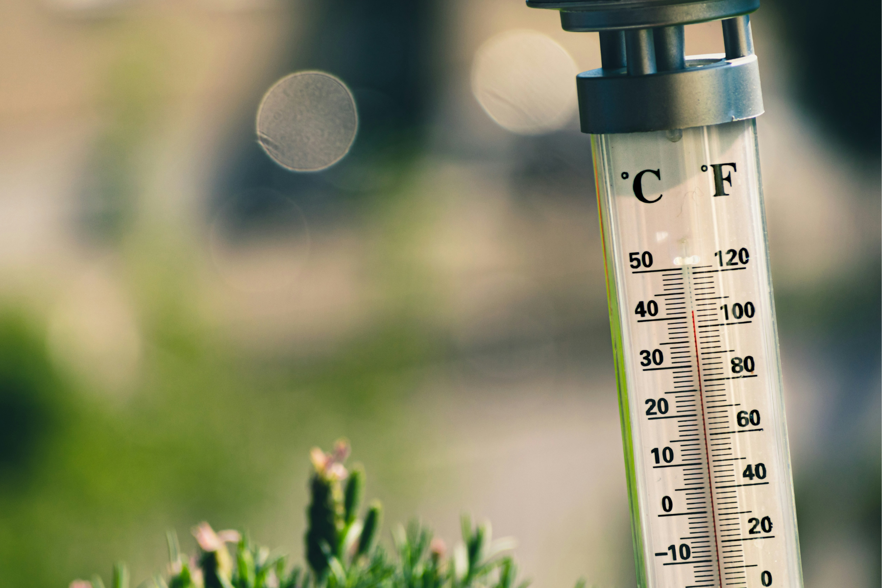 Calor de 34°C faz eleitores passarem mal durante votação em Manaus