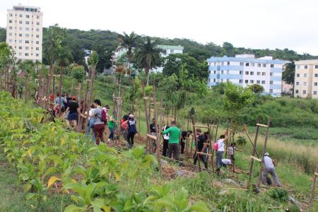 Parque Ecológico do Brejinho recebe minifloresta em iniciativa da Cultura e Meio Ambiente da PBH