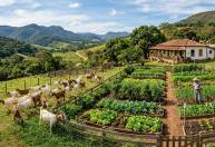 Casal francês busca voluntário para viver de graça na fazenda e trabalhar somente 10 horas por semana