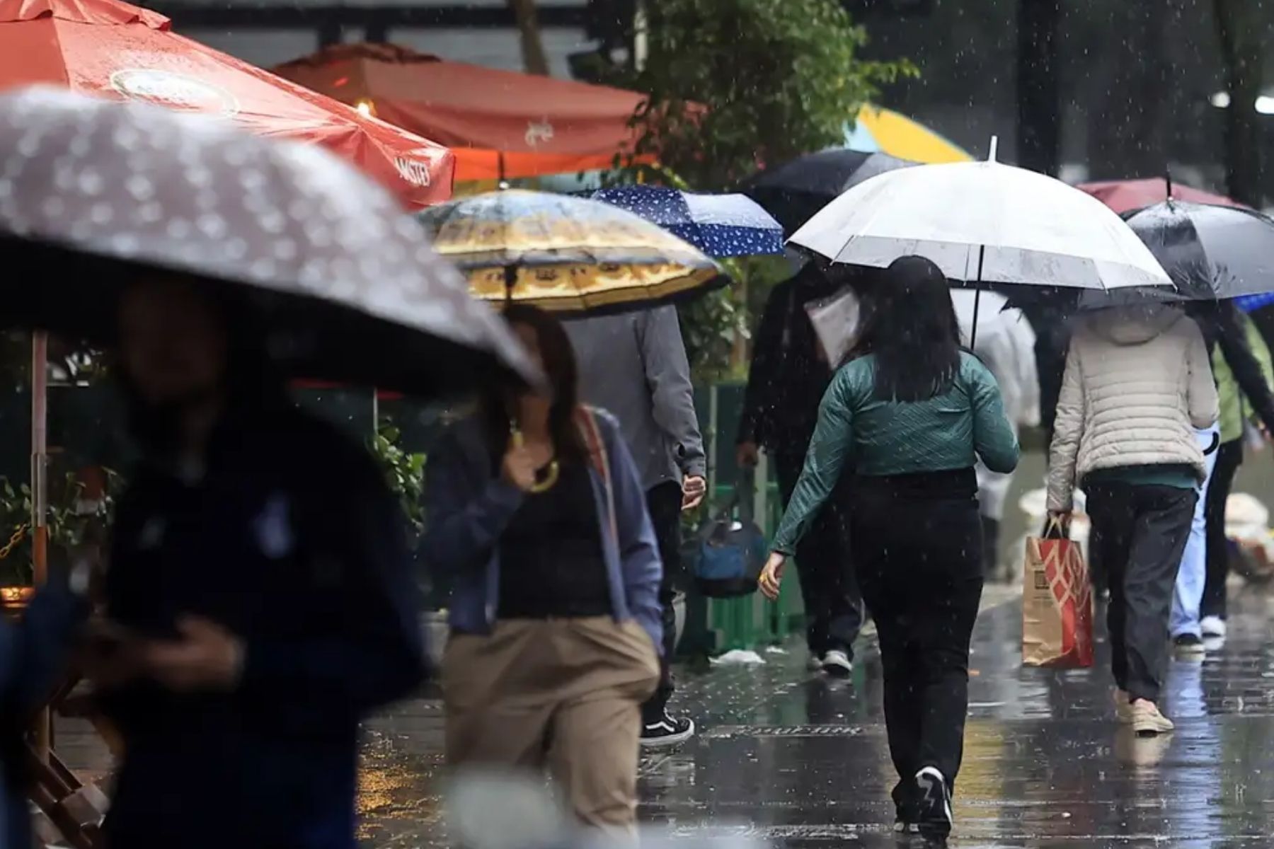 Eleições 2026: Goiás tem alerta de tempestade e granizo para domingo de votação; veja lista