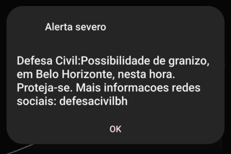 • Reprodução