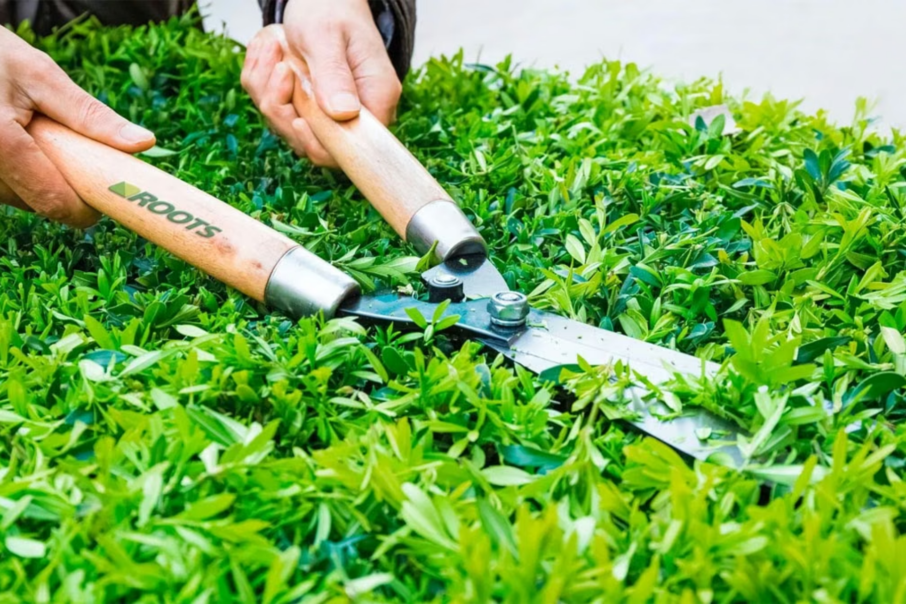 Afiando tesouras: como deixá-las como novas para cortar grama e galhos de jardim