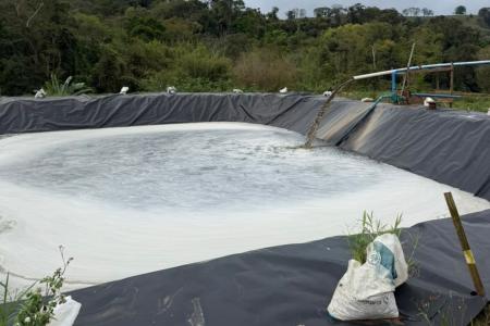 Fazenda Belluzzi adota um sistema automatizado de limpeza conhecido como flush • Arquivo/ Cedia à Itatiaia