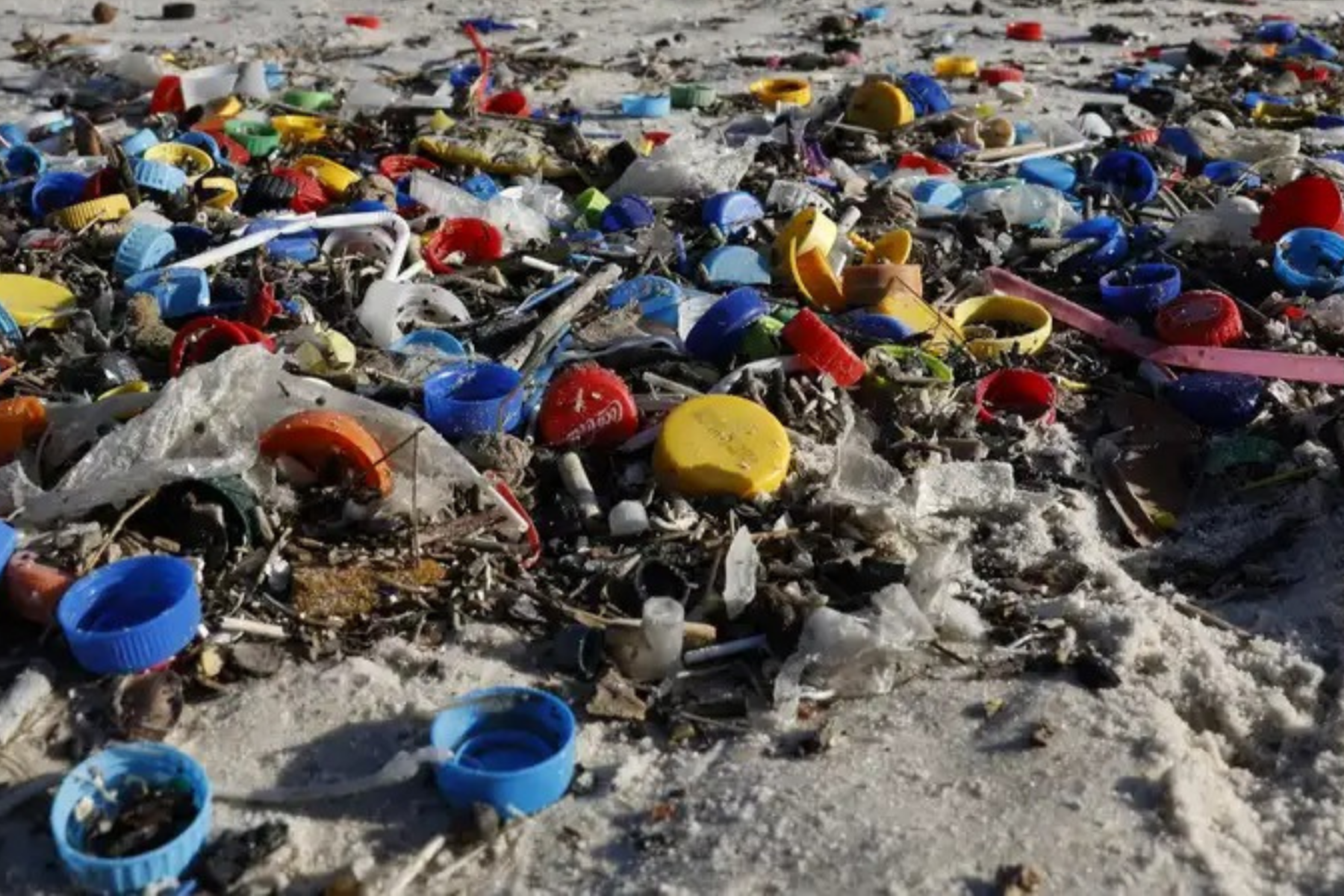 Pequenas empresas de embalagens enfrentam novas regras para plástico reciclado