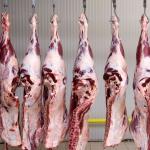 Após forte retração nas vendas para a China, exportações de carne bovina caem 35,1% em setembro