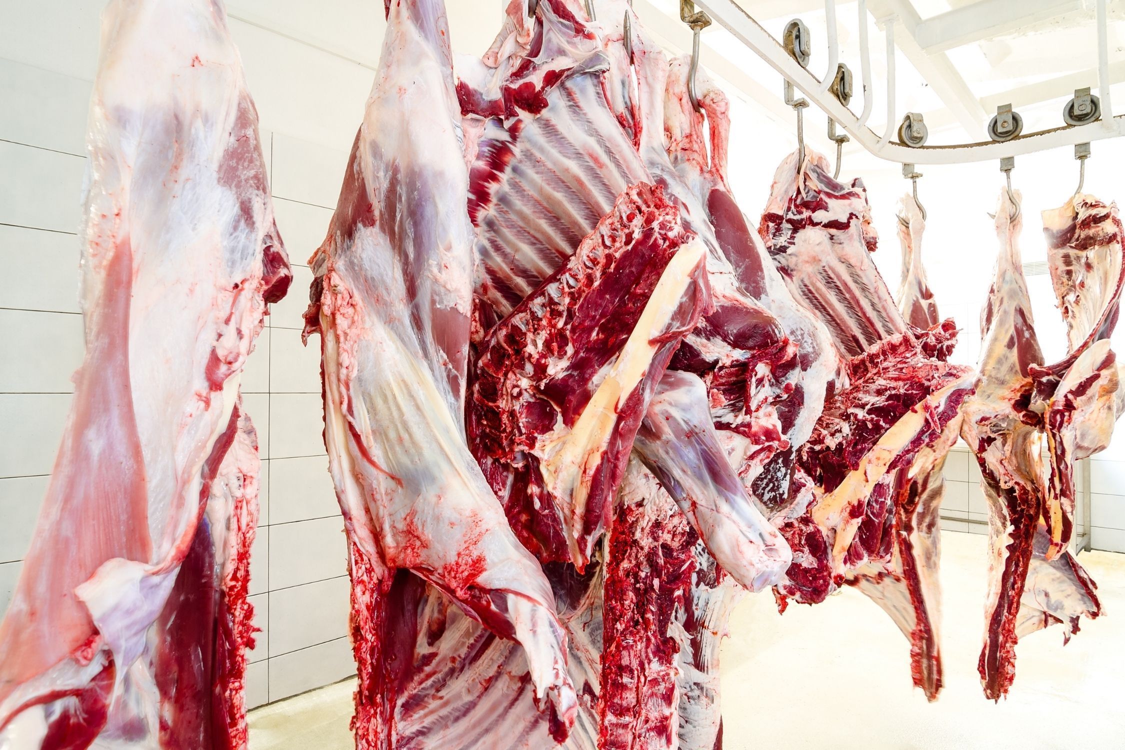 Apesar de recuo para a China, carne bovina brasileira fatura US$ 14,17 bi no ano, alta de 14,1%