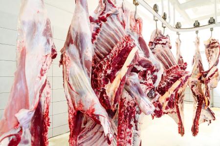 Carne bovina