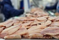Novo marco regulatório reconhece aquicultura como atividade agropecuária em Minas Gerais
