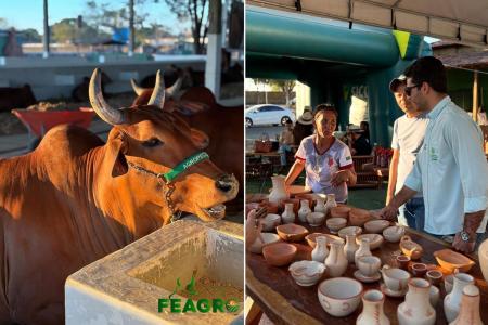 Tecnologia, leilões e shows: 3ª FEAGRO em Januária impulsiona o agro no Norte de Minas