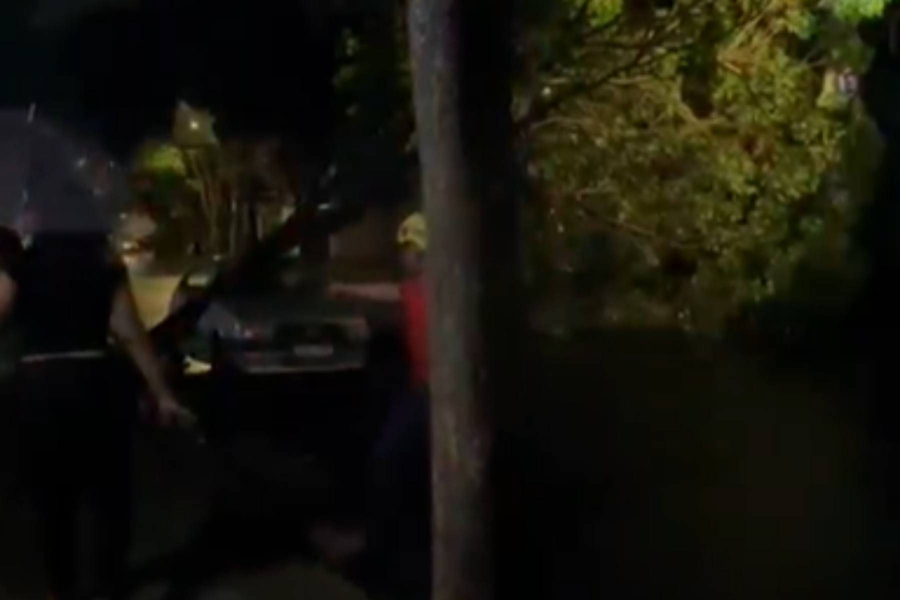 Chuva forte derruba árvore sobre carro e atinge rede elétrica em Belo Horizonte; vídeo