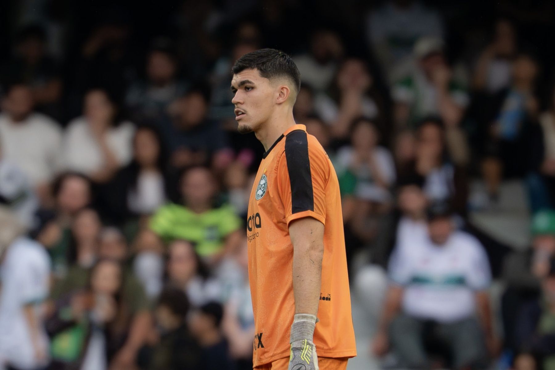 Goleiro da Seleção Brasileira e do Coritiba, Morisco entra na mira de gigante europeu