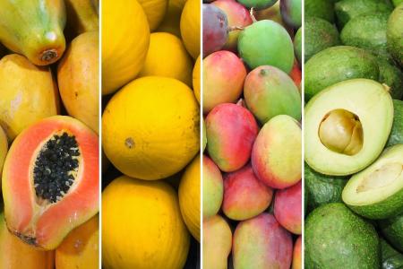 Mamão, melão e manga lideram exportações de frutas do Brasil; vendas de abacate saltam 430%