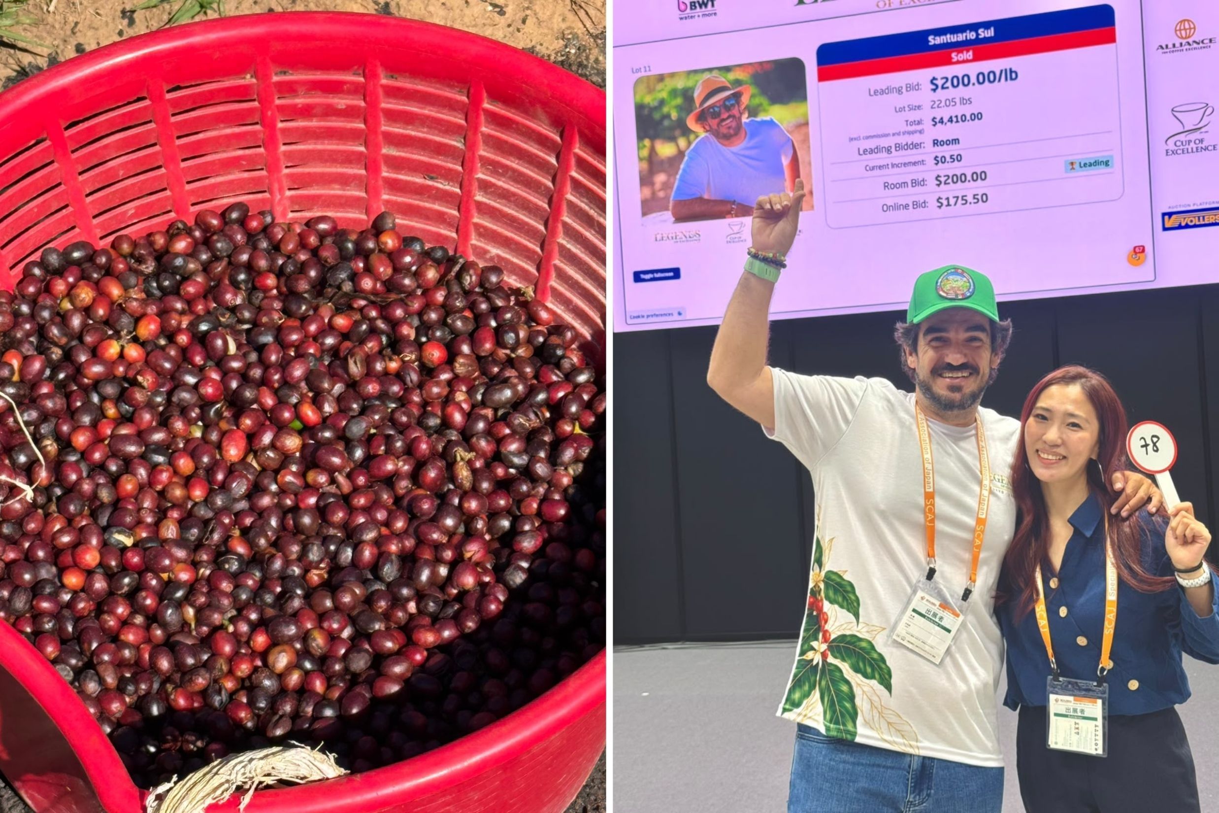 Café de Minas Gerais é vendido por R$ 134,6 mil a saca em leilão no Japão e bate recorde