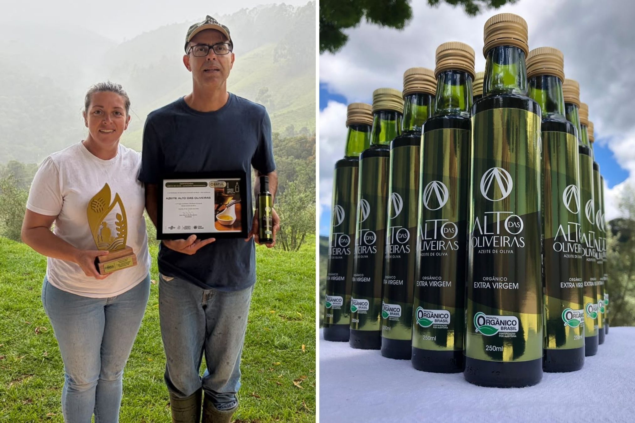 Azeite monovarietal de produção familiar no Sul de Minas é eleito o melhor do Brasil pela CNA