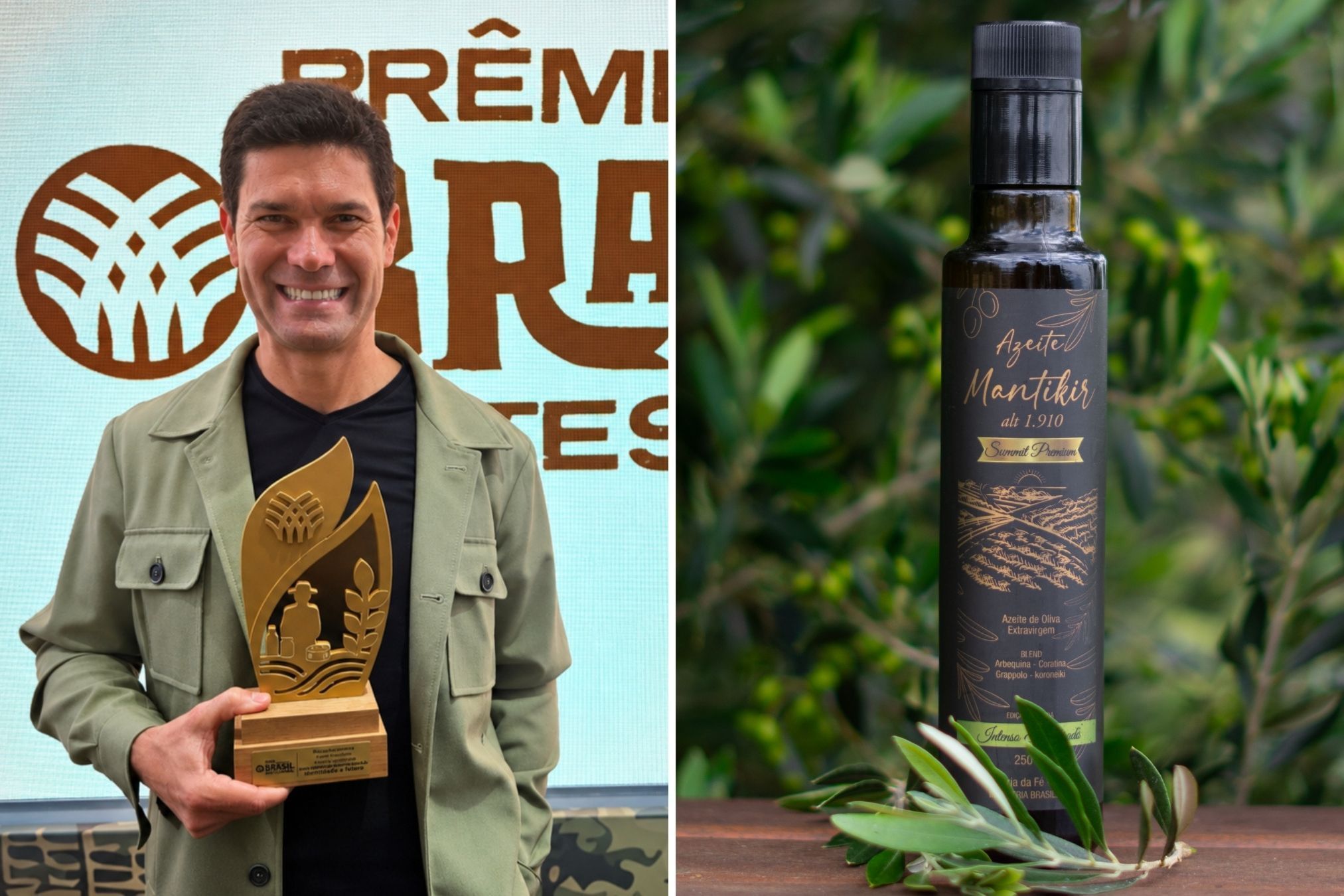 Produzido no olival mais alto do mundo, azeite mineiro é eleito o melhor 'blend' do Brasil no Prêmio CNA