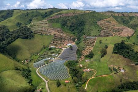 Fazenda Tuiuva, em Maria da Fé, proutora do Azeite Mantikir •