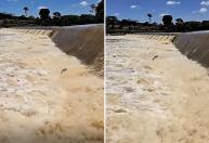 Piracema se aproxima: imagem de drone mostra subida dos peixes no Rio Mogi Guaçu em SP