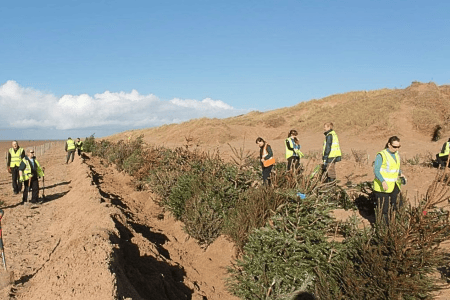 Árvores de natal plantadas em praia