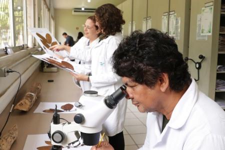 Pesquisadora Fernanda Ilkiu e a equipe na análise e identificação dos cafés • Ronaldo Rosa/ Embrapa