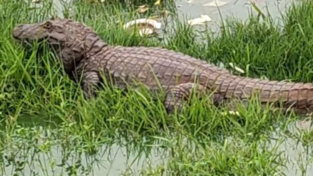 Imagem da notícia publicada por Itatiaia Minas