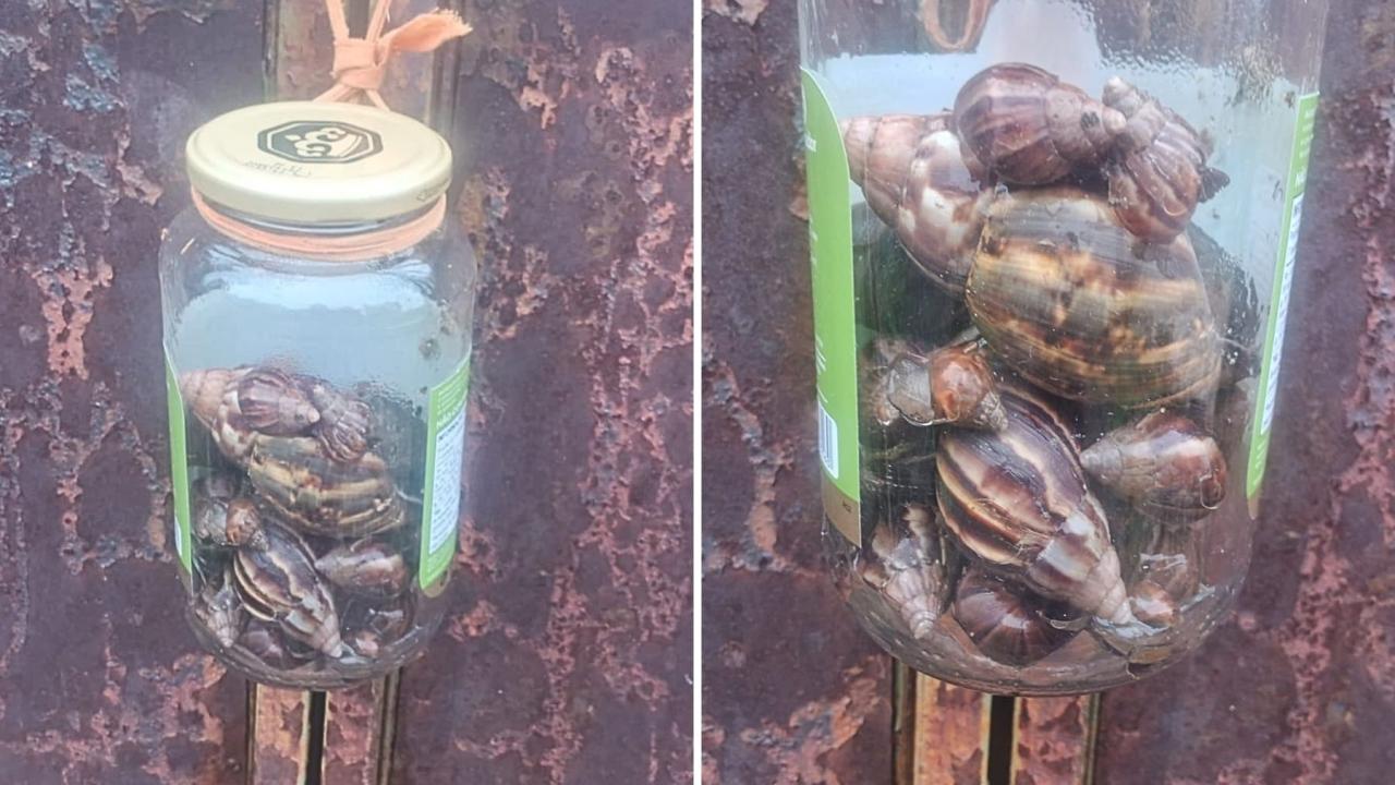 Imagem da notícia publicada por Itatiaia Minas