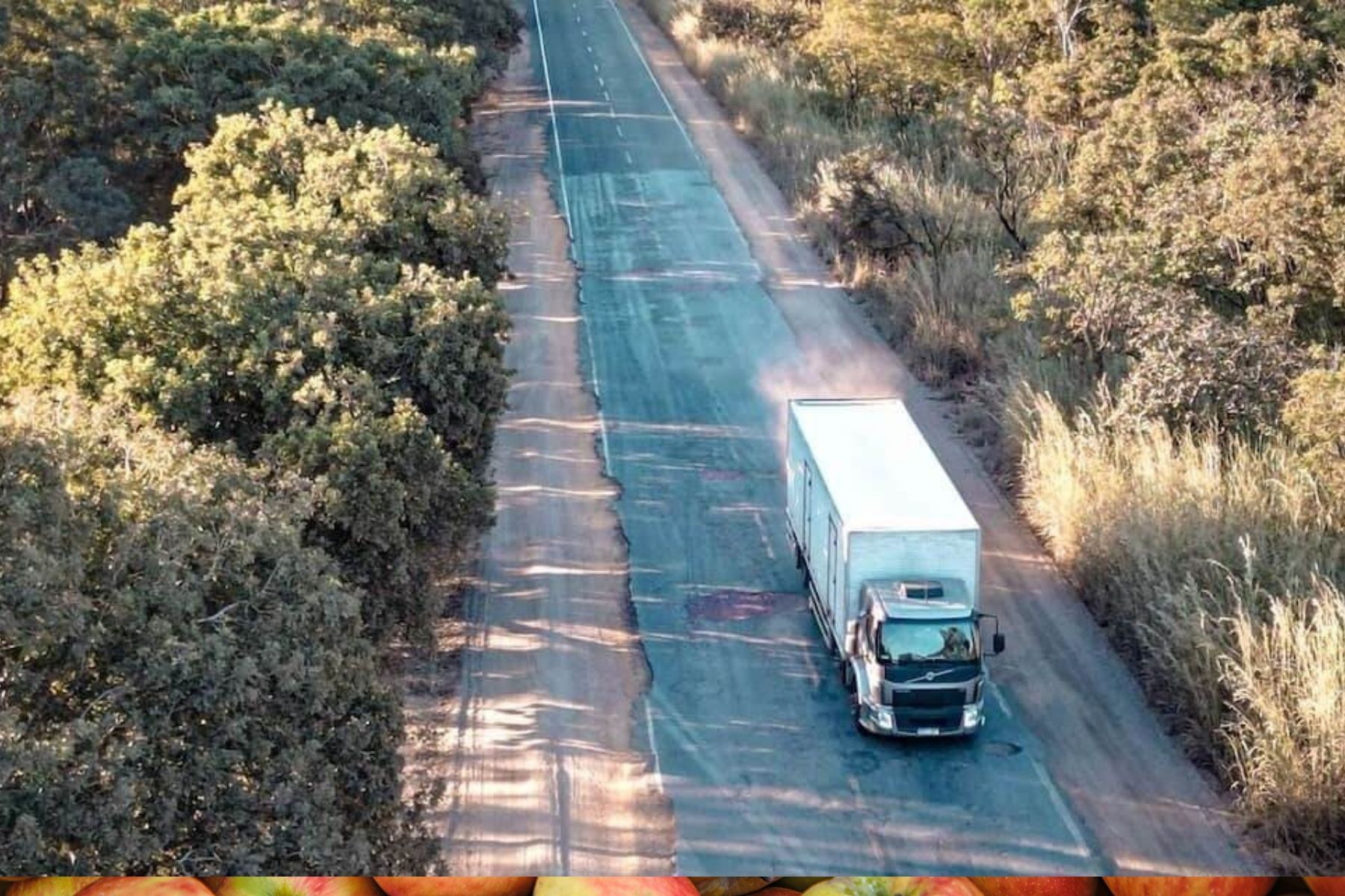 Reforma tributária pode elevar em 20% custos do transporte rodoviário de cargas