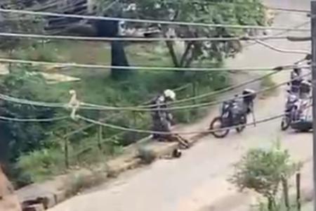 Morador gravou um vídeo da abordagem policial