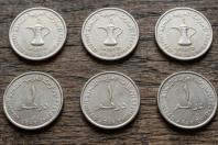 Moedas árabes de 1.200 anos surgem em floresta polonesa perto de porto vikingo