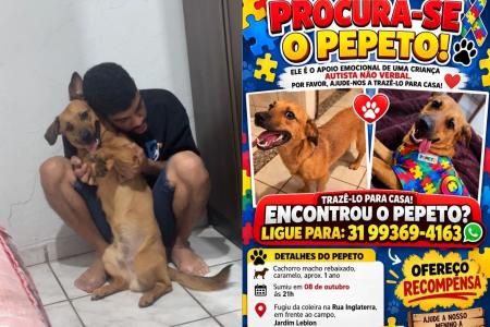Cachorro Pepeto está desaparecido • Imagens cedidas à Itatiaia