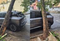 Sem luz: moradores de BH denunciam demora no atendimento após queda de árvores sobre carros e fiação