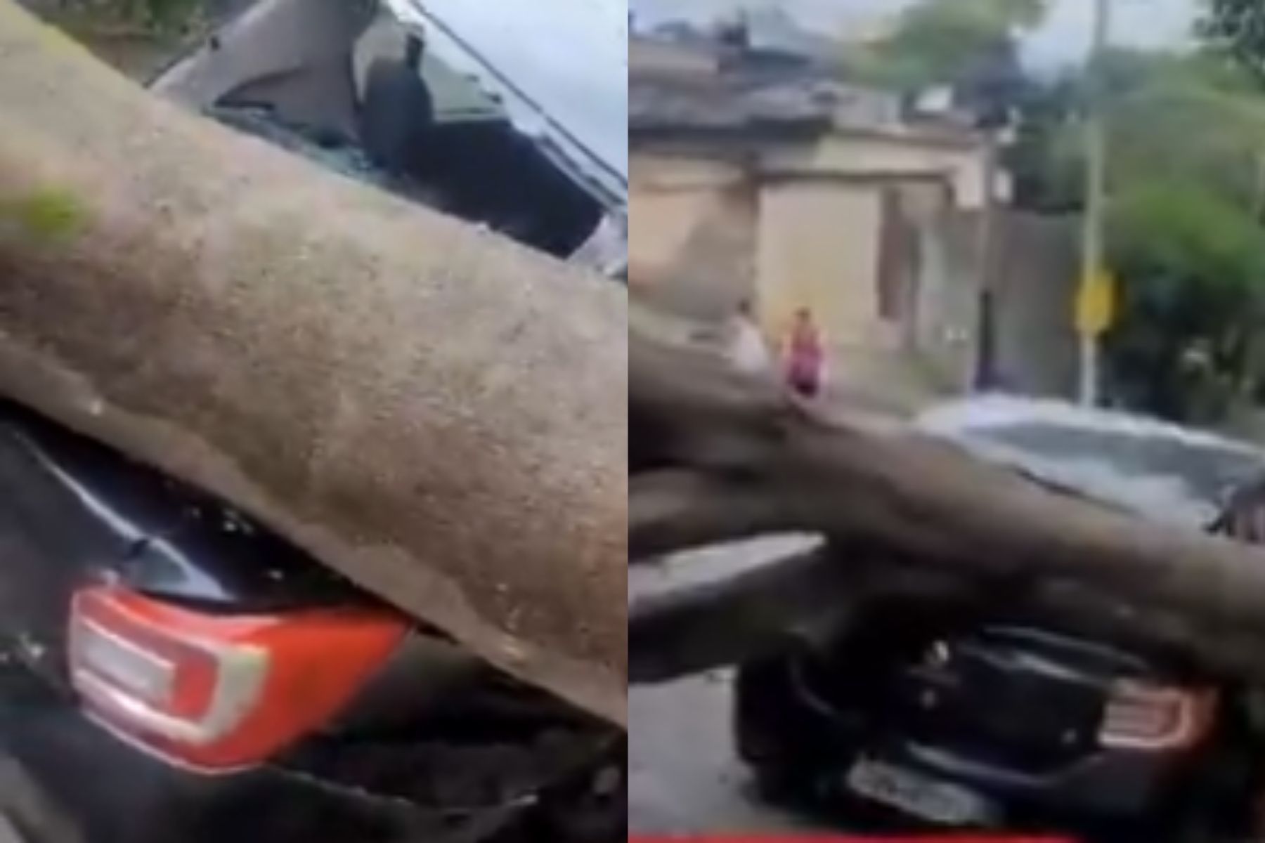 Vídeo: árvore cai sobre carro, fiação e casas após temporal em Belo Horizonte