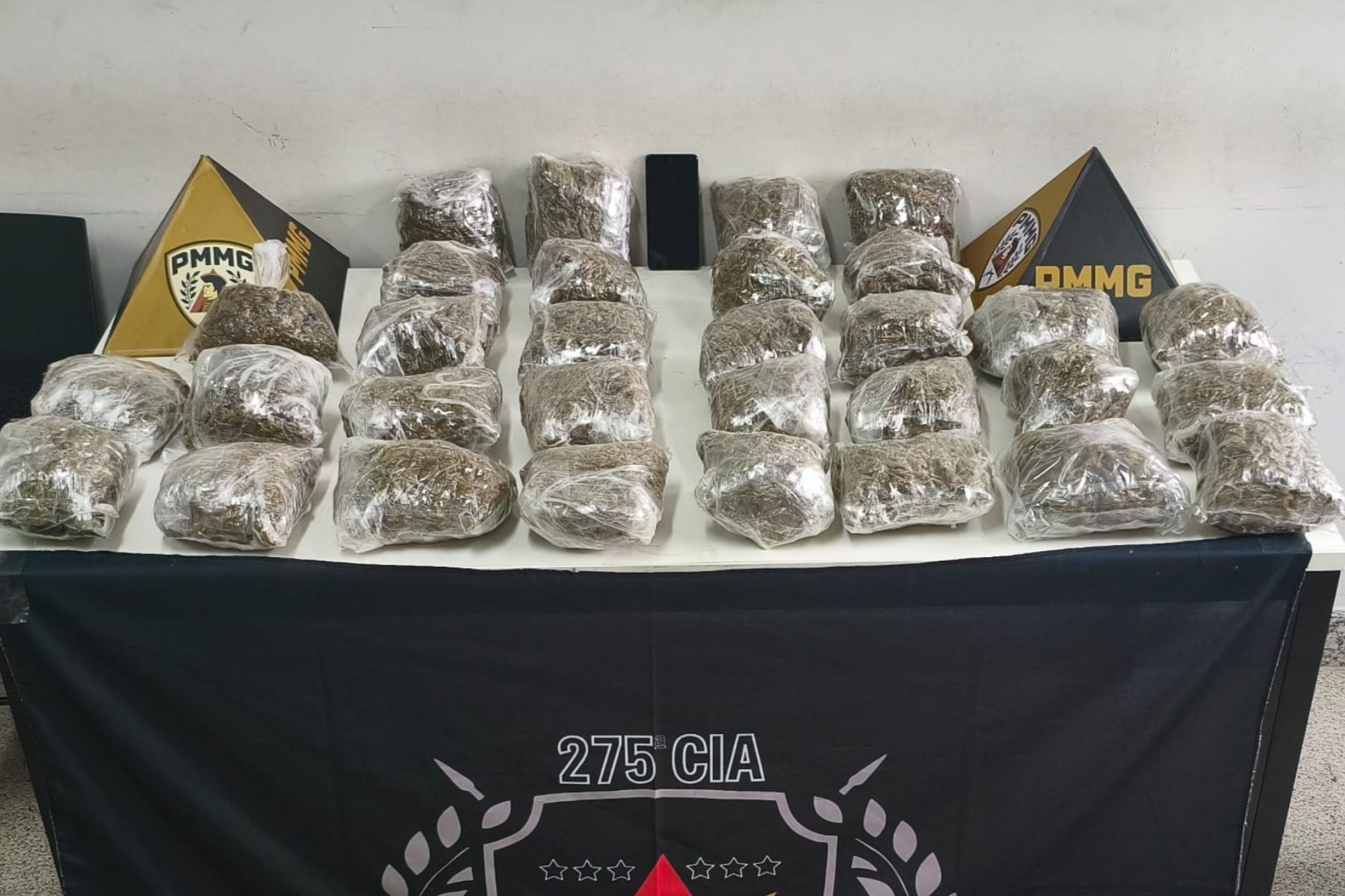 Mulher é presa suspeita de traficar drogas em Coronel Fabriciano, em MG