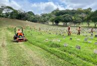 Cemitérios do Vale do Aço passam por preparação para receber visitantes no Dia de Finados