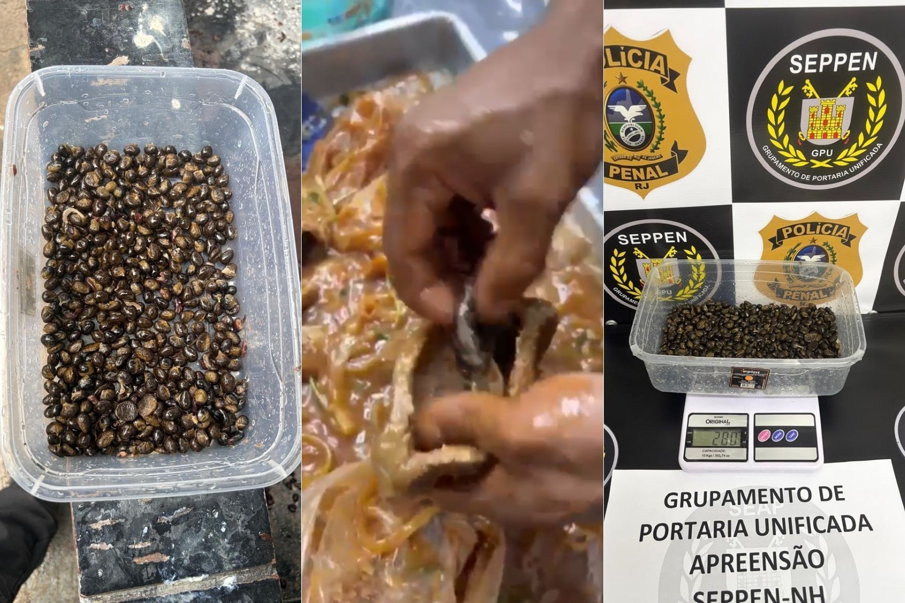Maconha e haxixe são escondidos em feijão e carne para entrar em presídio no Rio; veja vídeo
