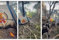 Imagens mostram destroços do avião da PM que caiu no Vale do Aço, em MG; três morreram