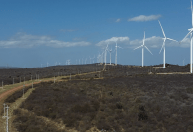 Sustentabilidade na mineração agrega valor e atrai investimentos estrangeiros para o Brasil