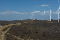 Sustentabilidade na mineração agrega valor e atrai investimentos estrangeiros para o Brasil