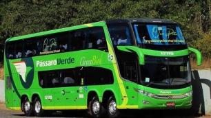 Pássaro Verde anuncia viagens gratuitas entre Ouro Preto e Itabirito no domingo de eleição