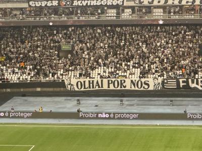 Protesto Bets