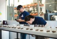 Semana Internacional do Café 2026 terá final de maior torneio de torra do mundo; veja os finalistas