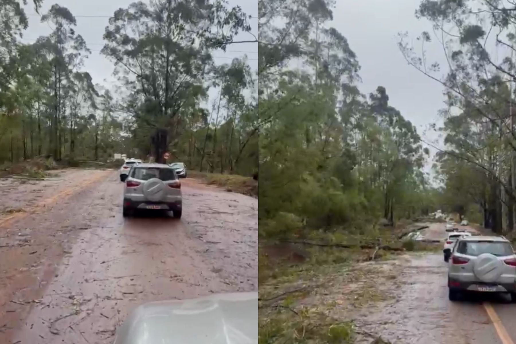 Temporal provoca queda de árvores e interdita trechos da BR-356 entre Nova Lima e Itabirito; vídeo