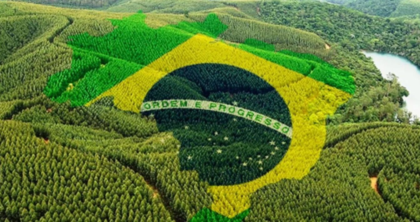 Valdir Barbosa: O Agro sai fortalecido com o resultado das urnas até agora