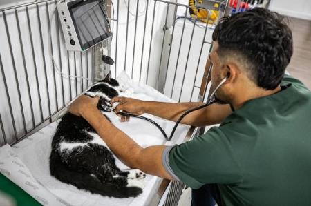 Centro Avançado de Saúde Animal completa um mês de funcionamento em nova sede com quase mil atendimentos