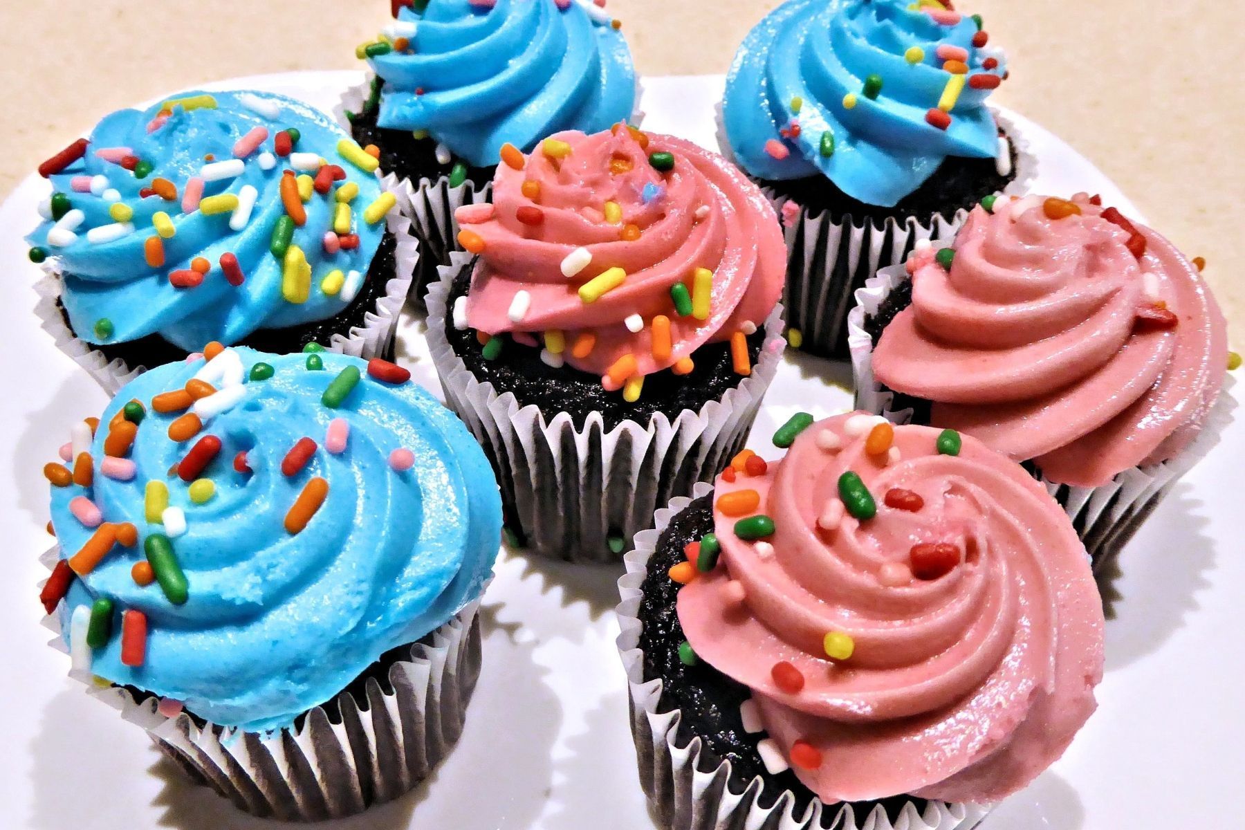 Com receitas de cupcakes, sete crianças disputam final do JF Saborzinho 2026