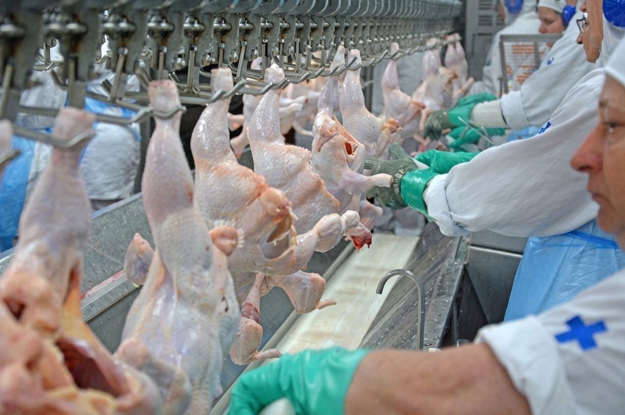 Valdir Barbosa: China alivia mercado brasileiro do frango bloqueando somente Santa Catarina