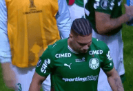 Palmeiras: Paulinho chora após pancada, preocupa, e Abel abre o jogo