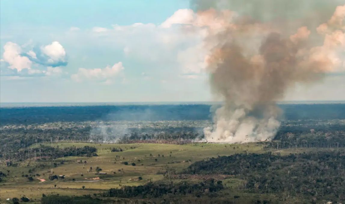 Pará tem mais de 900 focos de incêndio e emite alerta